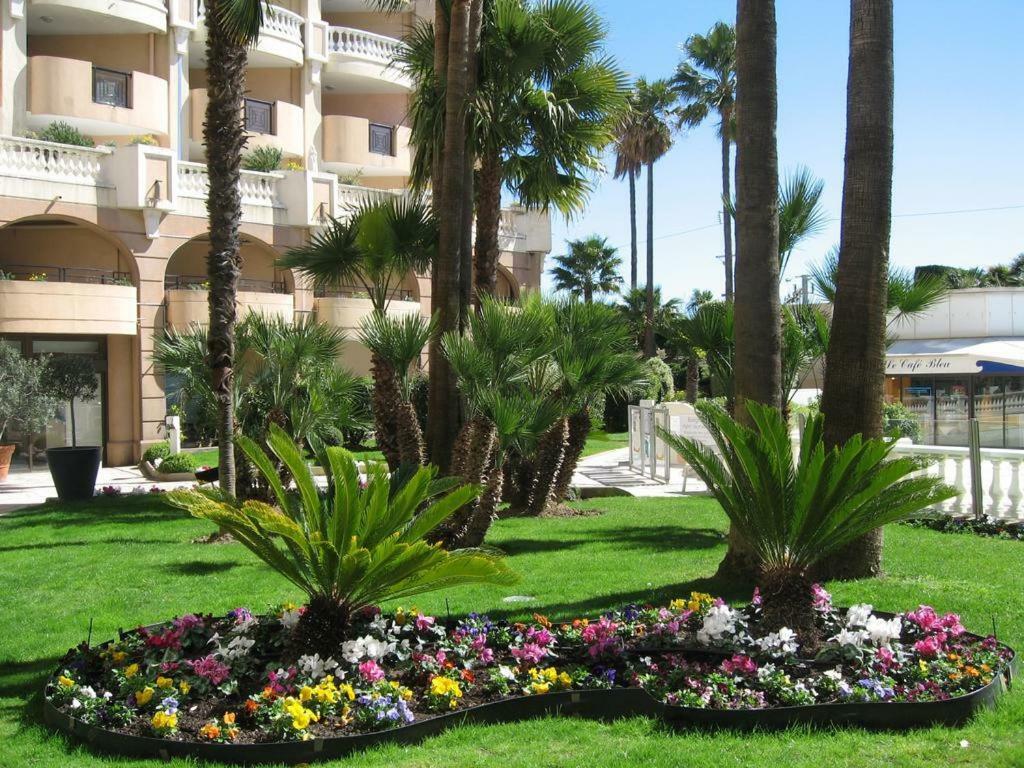 Vue * Cannes